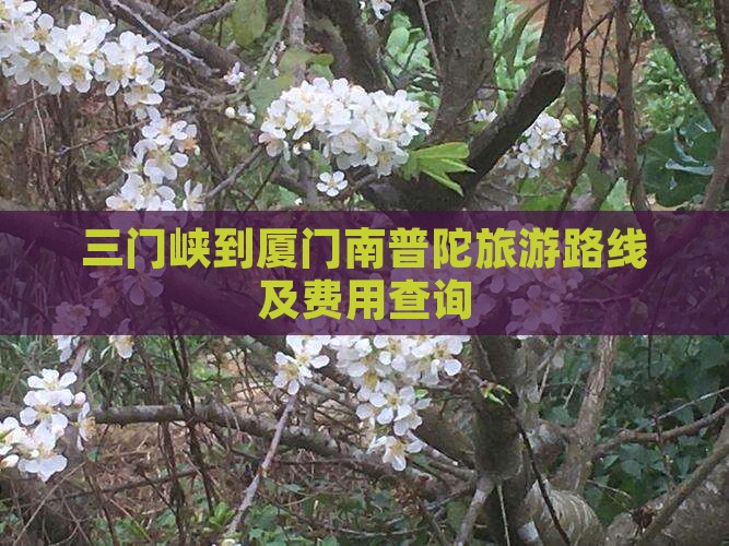 三门峡到厦门南普陀旅游路线及费用查询