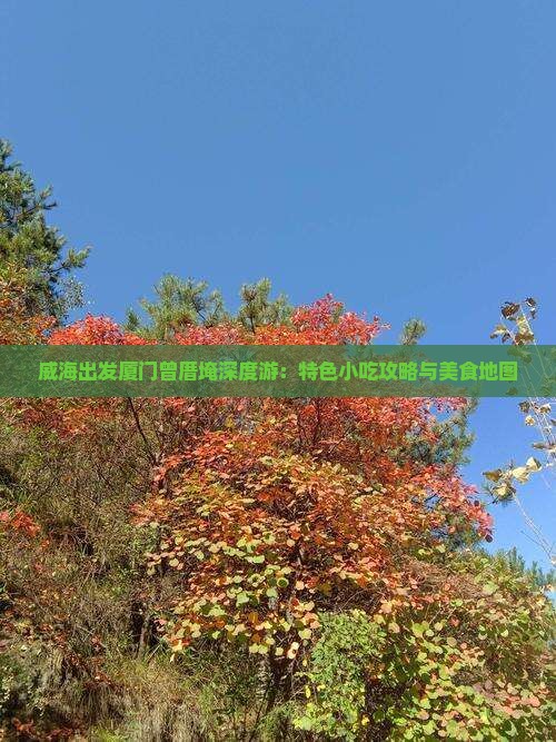 威海出发厦门曾厝埯深度游：特色小吃攻略与美食地图