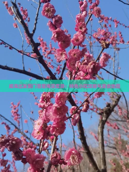 威海出发厦门曾厝埯深度游：特色小吃攻略与美食地图
