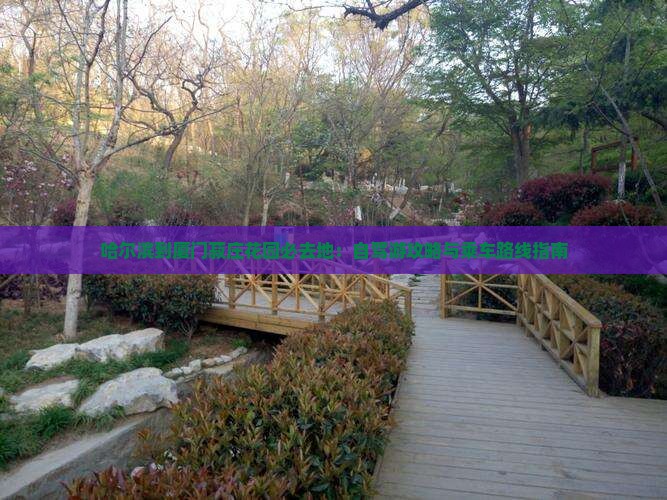 哈尔滨到厦门菽庄花园必去地：自驾游攻略与乘车路线指南