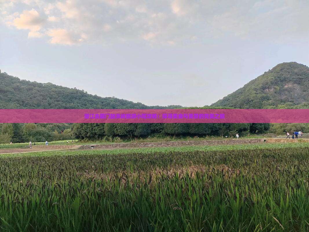 潜江去厦门鼓浪屿旅游小吃攻略：探寻美食与美景的完美之旅