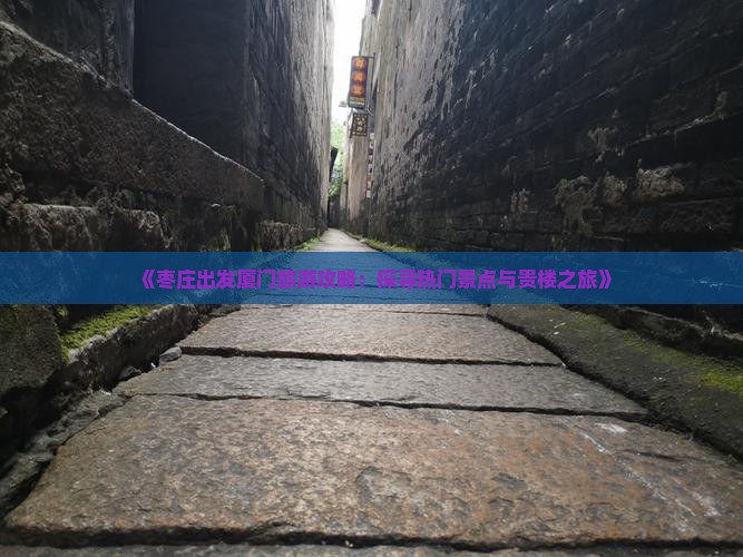 《枣庄出发厦门旅游攻略：探寻热门景点与贵楼之旅》