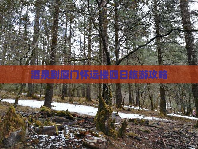 酒泉到厦门怀远楼四日旅游攻略