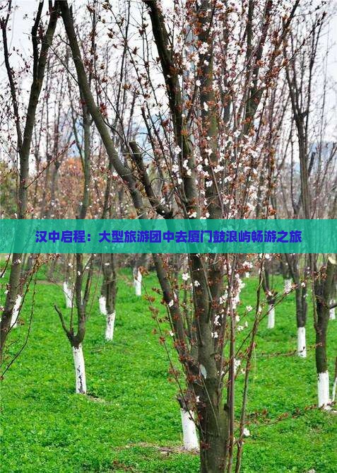 汉中启程：大型旅游团中去厦门鼓浪屿畅游之旅
