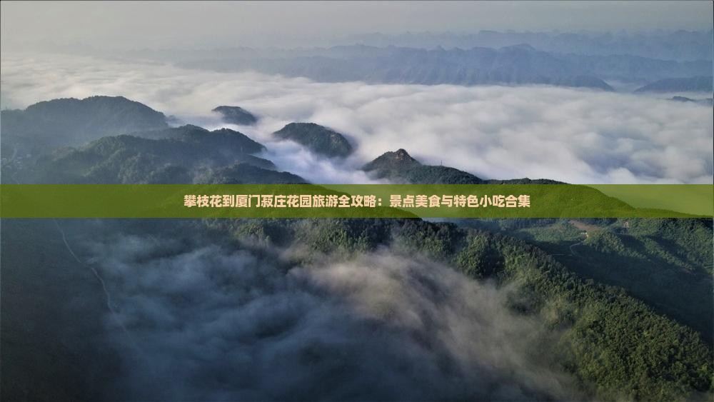 攀枝花去厦门菽庄花园旅游小吃