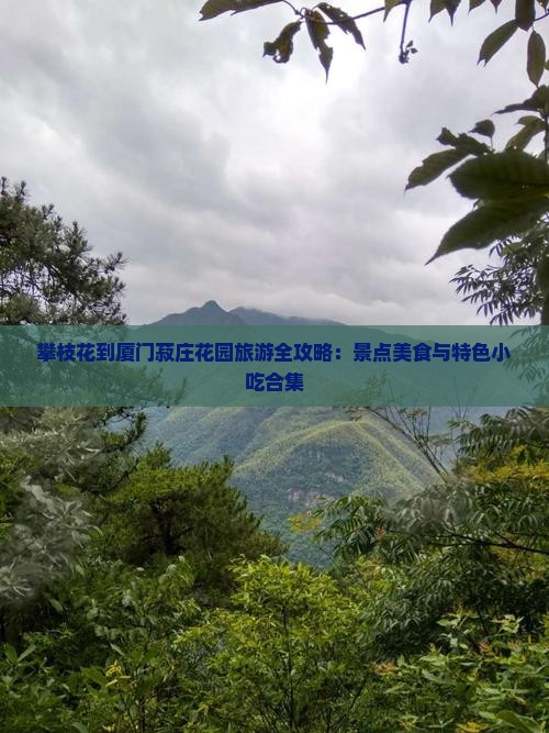 攀枝花去厦门菽庄花园旅游小吃
