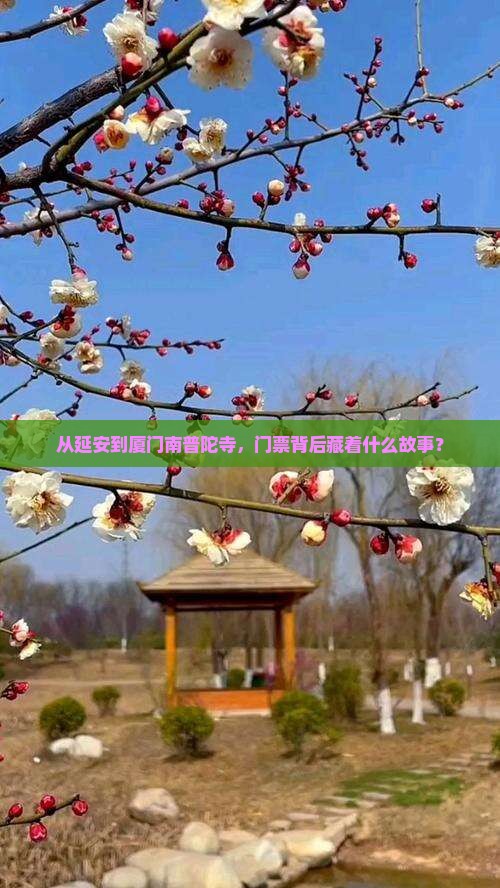 延安去厦门南普陀门票