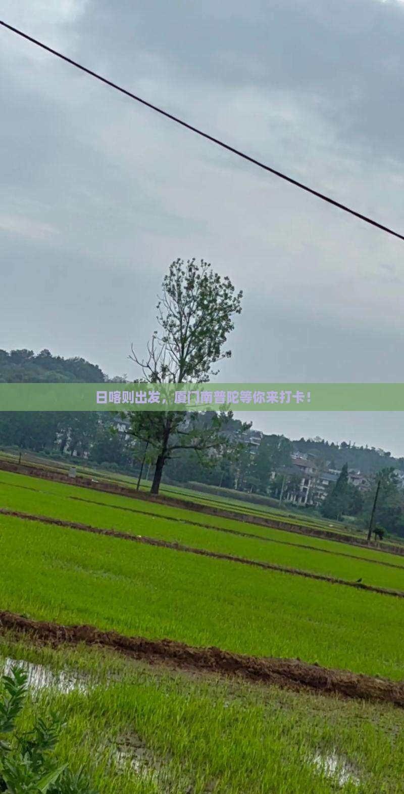 日喀则到厦门南普陀景点