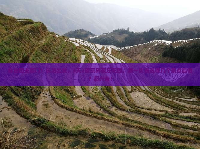 长治到厦门菽庄花园自由团