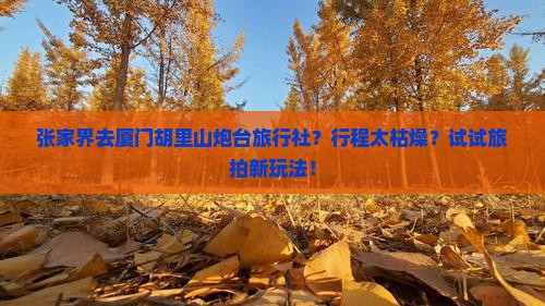 张家界去厦门胡里山炮台旅行社