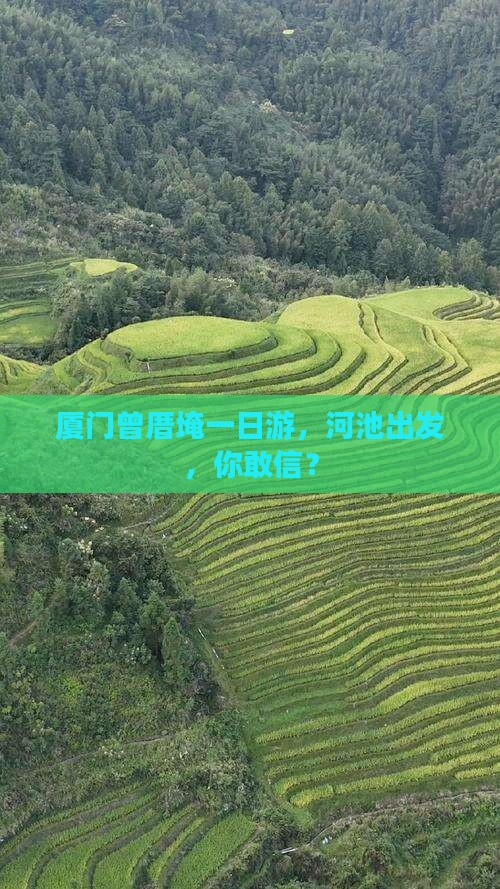 河池到厦门曾厝埯一日
