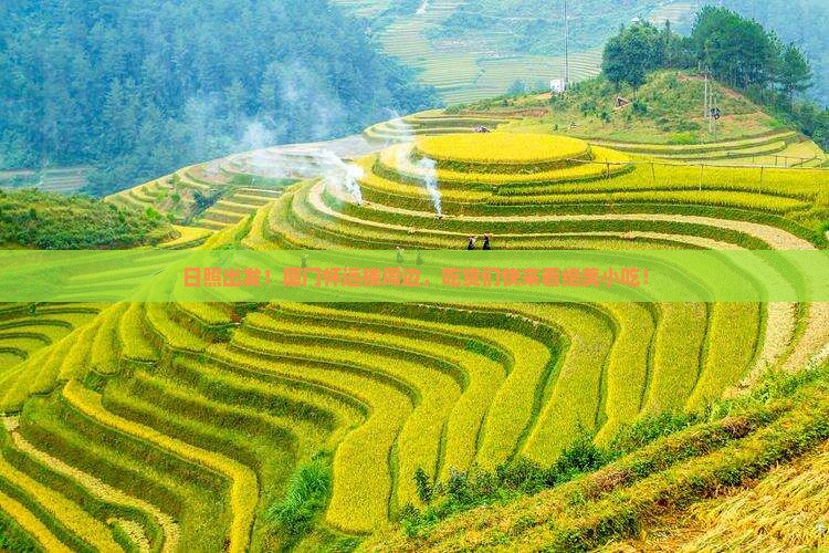 日照去厦门怀远楼旅游小吃