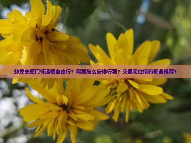 蚌埠去厦门怀远楼自由行