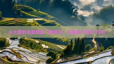 大理去厦门旅行社
