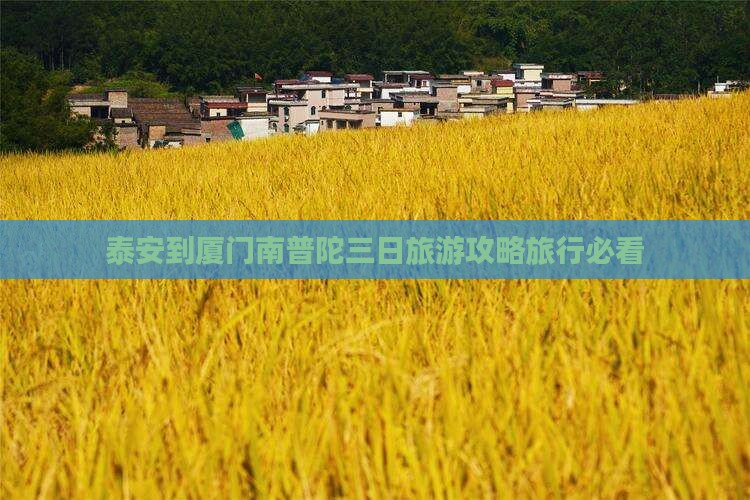 泰安到厦门南普陀三日游
