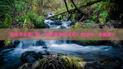 清明节到厦门旅行社