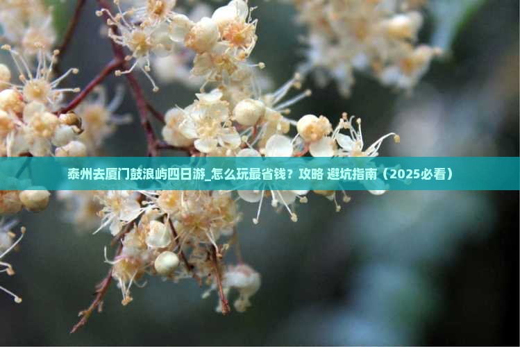 泰州去厦门鼓浪屿四日游