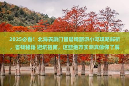 北海去厦门曾厝埯旅游小吃