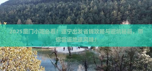 遂宁到厦门旅游小吃