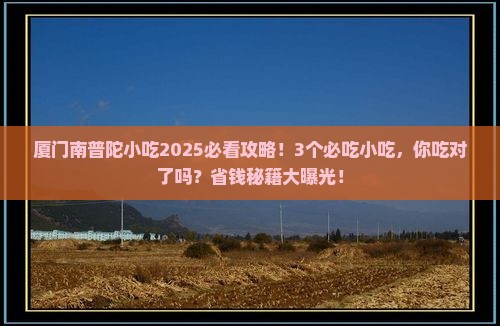 巢湖去厦门南普陀旅游小吃