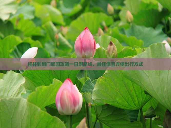 桂林到厦门毓园攻略