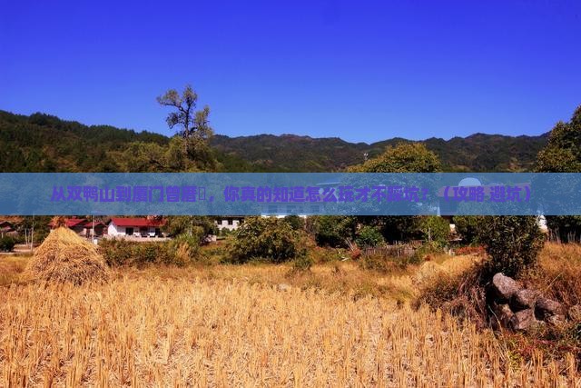 双鸭山到厦门曾厝埯必去地