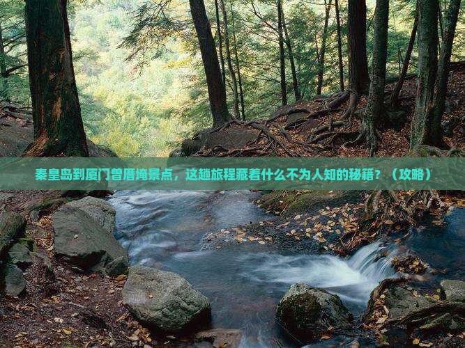 秦皇岛到厦门曾厝埯景点