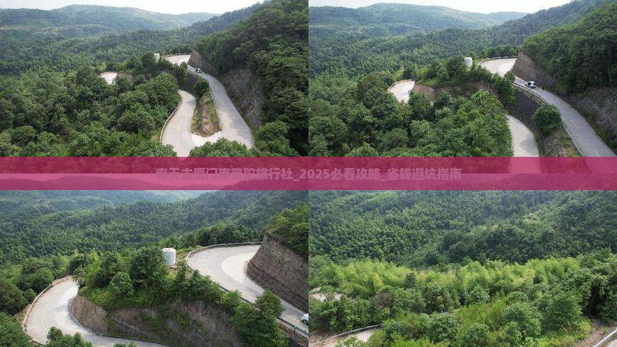 春天去厦门南普陀旅行社