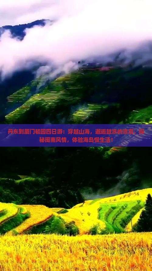 丹东到厦门毓园四日游
