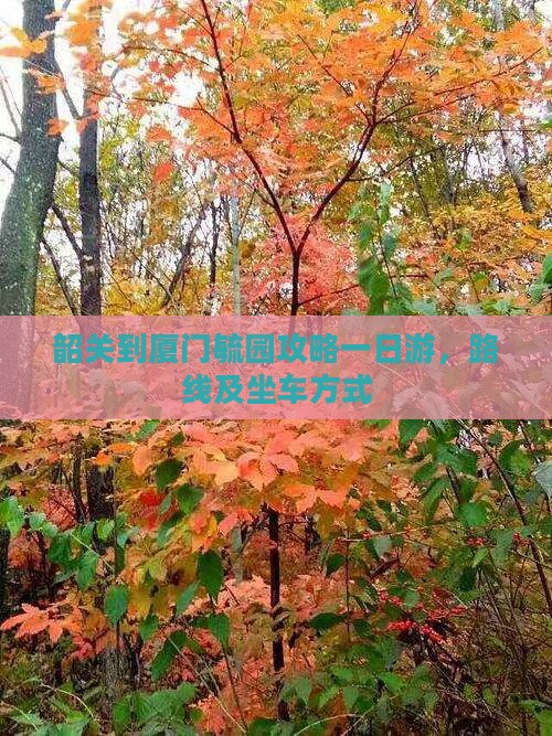 韶关到厦门毓园攻略