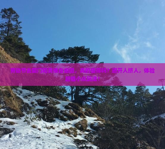劳动节去厦门和贵楼自由团