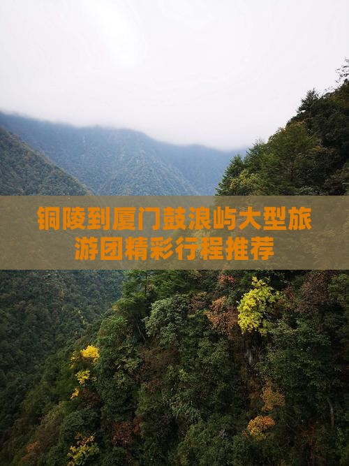 铜陵到厦门鼓浪屿大型旅游团精彩行程推荐