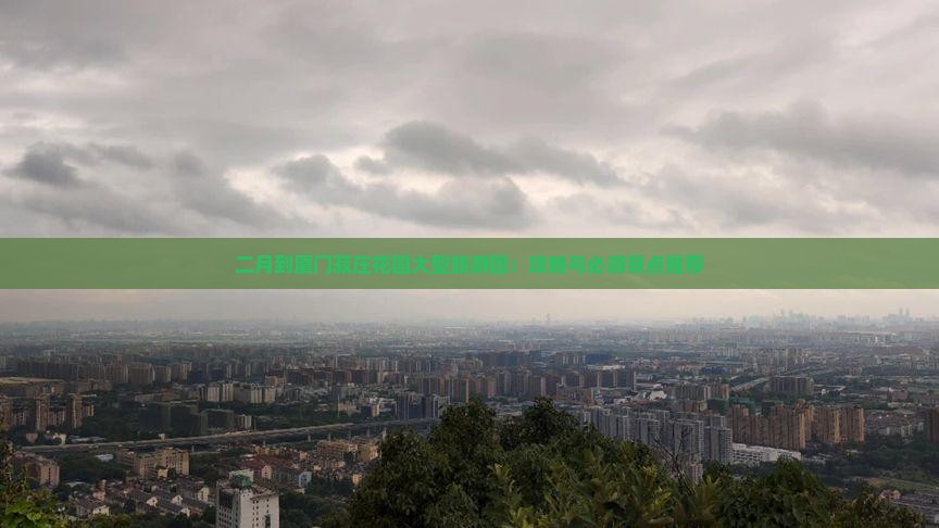 二月到厦门菽庄花园大型旅游团：攻略与必游景点推荐