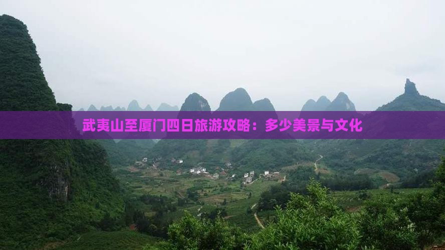 武夷山至厦门四日旅游攻略：多少美景与文化