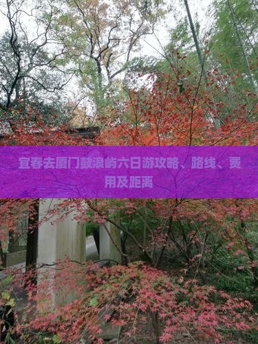 宜春去厦门鼓浪屿六日游攻略、路线、费用及距离