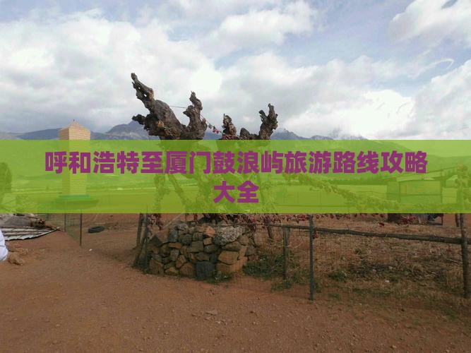 呼和浩特至厦门鼓浪屿旅游路线攻略大全