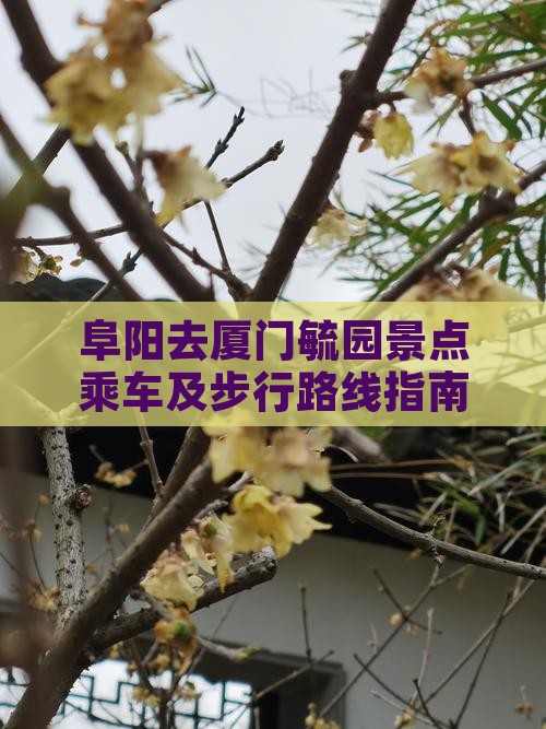 阜阳去厦门毓园景点乘车及步行路线指南