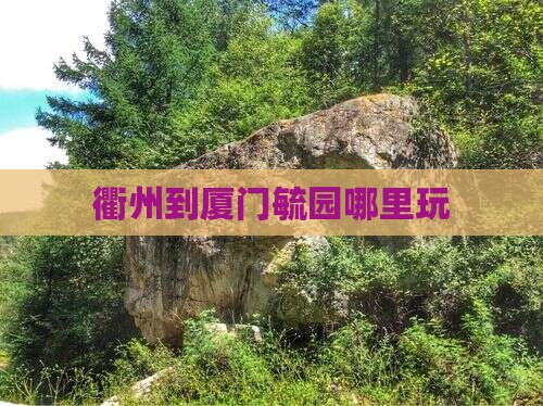 衢州到厦门毓园哪里玩