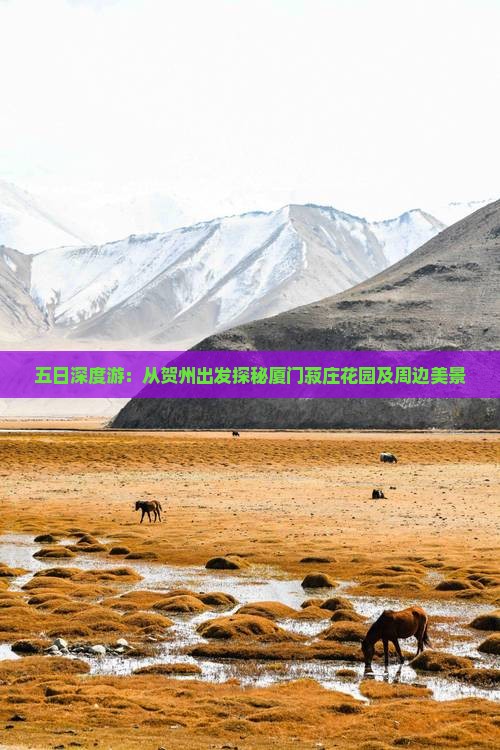 五日深度游：从贺州出发探秘厦门菽庄花园及周边美景