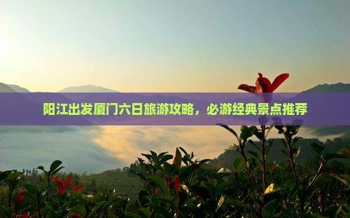 阳江出发厦门六日旅游攻略，必游经典景点推荐