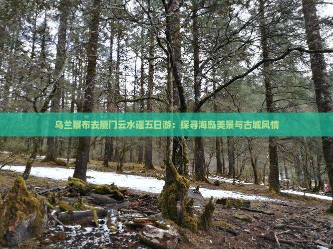 乌兰察布去厦门云水谣五日游：探寻海岛美景与古城风情