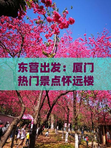 东营出发：厦门热门景点怀远楼四日游攻略