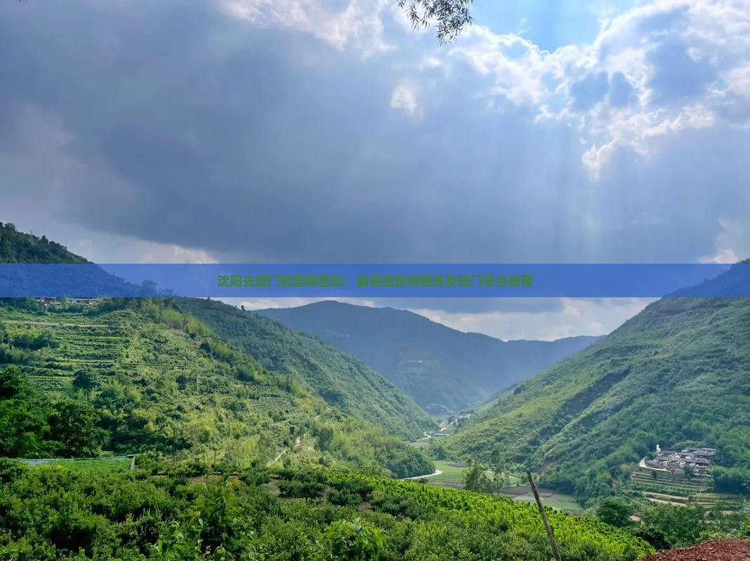 沈阳去厦门毓园哪里玩：最便捷旅游路线及热门景点推荐