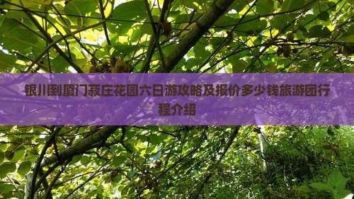 银川到厦门菽庄花园六日游攻略及报价多少钱旅游团行程介绍