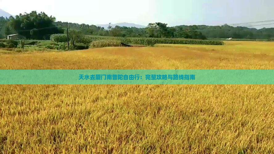 天水去厦门南普陀自由行：完整攻略与路线指南