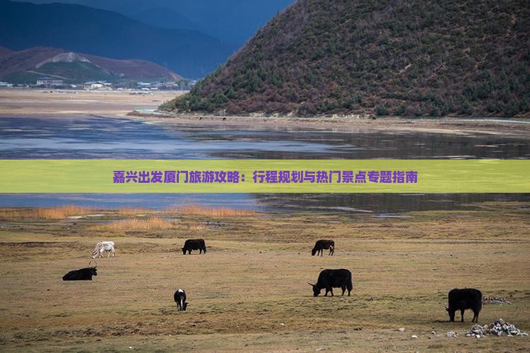 嘉兴出发厦门旅游攻略：行程规划与热门景点专题指南