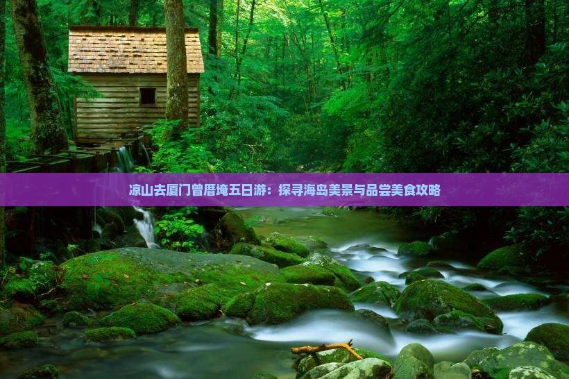 凉山去厦门曾厝埯五日游：探寻海岛美景与品尝美食攻略