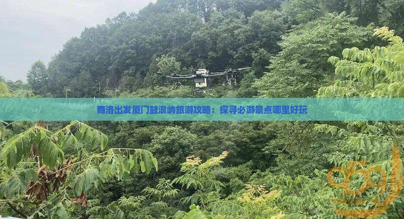 商洛出发厦门鼓浪屿旅游攻略：探寻必游景点哪里好玩