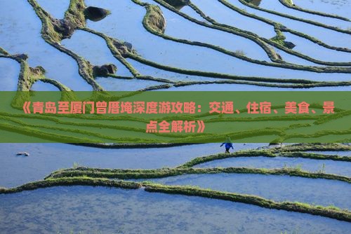 《青岛至厦门曾厝埯深度游攻略：交通、住宿、美食、景点全解析》