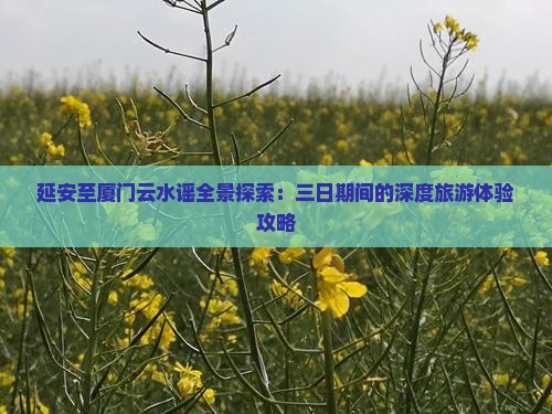 延安至厦门云水谣全景探索：三日期间的深度旅游体验攻略